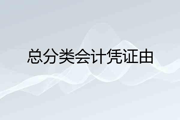 总分类会计凭证由