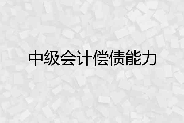 中级会计偿债能力