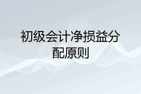 初级会计净损益分配原则