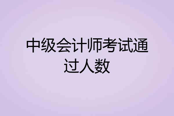 中级会计师考试通过人数