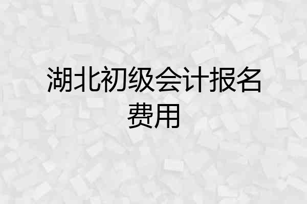 湖北初级会计报名费用