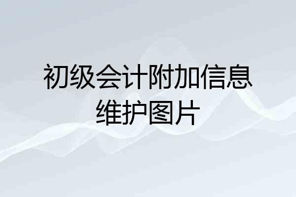 初级会计附加信息维护图片