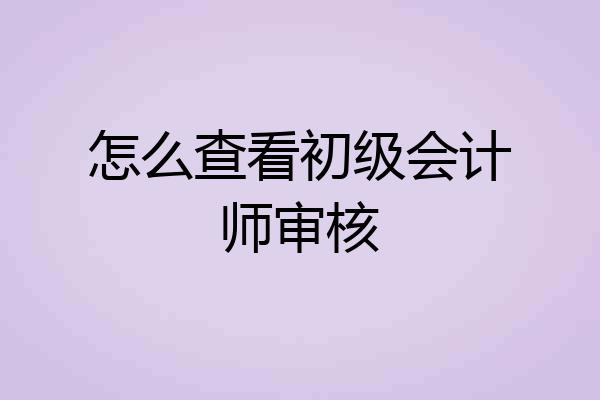 怎么查看初级会计师审核