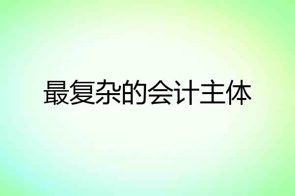 最复杂的会计主体
