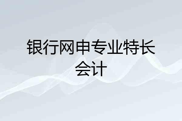 银行网申专业特长会计