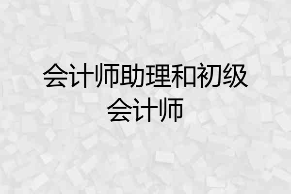 会计师助理和初级会计师