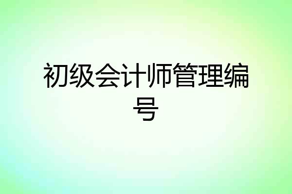 初级会计师管理编号