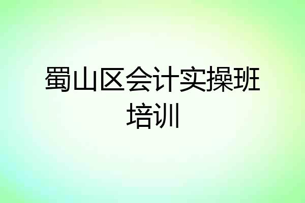 蜀山区会计实操班培训