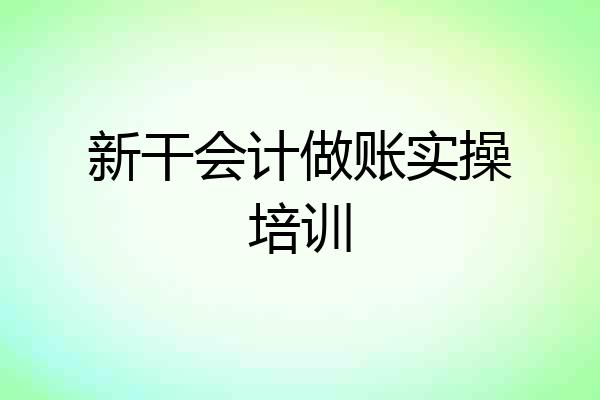 新干会计做账实操培训