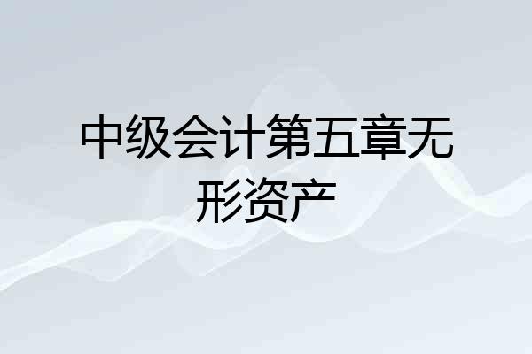 中级会计第五章无形资产