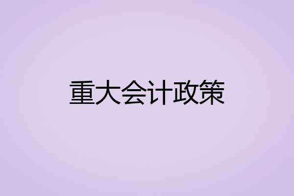重大会计政策