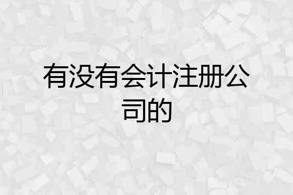 有没有会计注册公司的