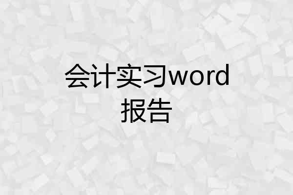 会计实习word报告