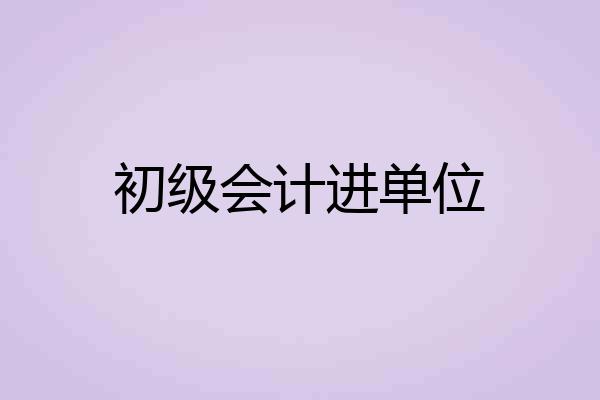 初级会计进单位