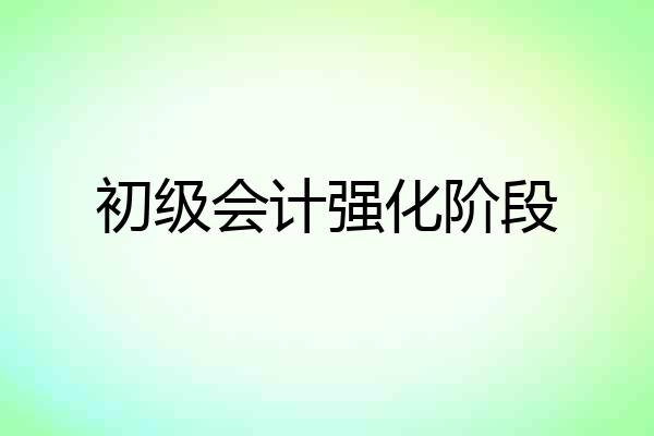 初级会计强化阶段