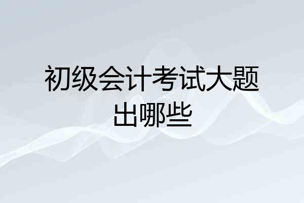 初级会计考试大题出哪些