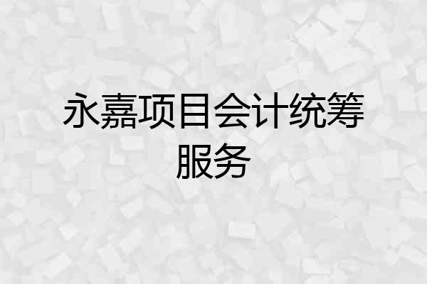 永嘉项目会计统筹服务