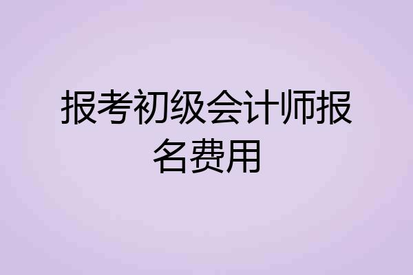 报考初级会计师报名费用