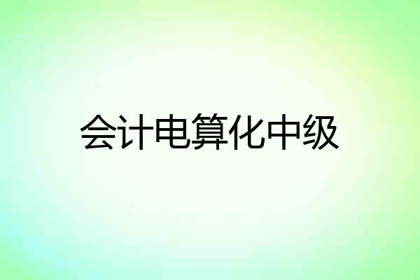 会计电算化中级