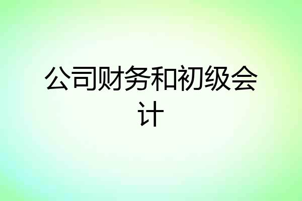 公司财务和初级会计