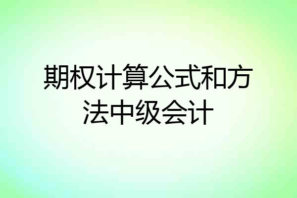 期权计算公式和方法中级会计