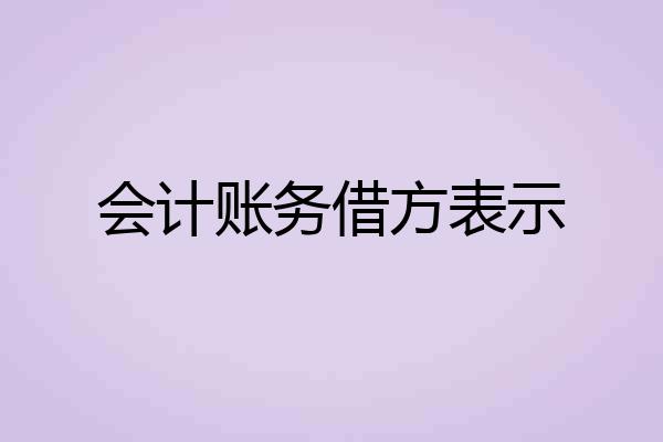 会计账务借方表示