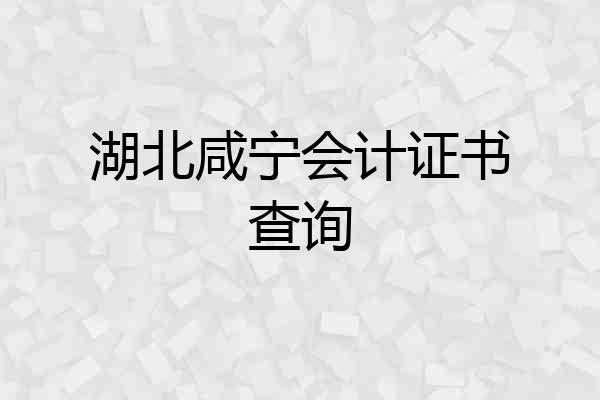 湖北咸宁会计证书查询