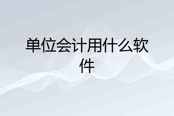 单位会计用什么软件