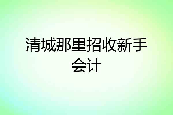 清城那里招收新手会计