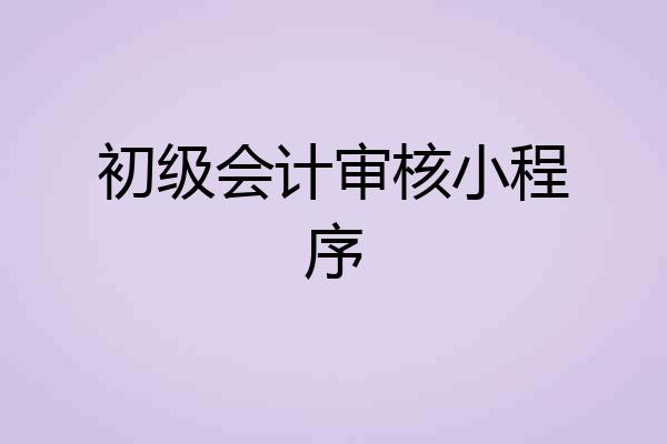 初级会计审核小程序