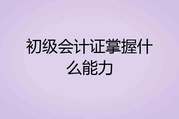 初级会计证掌握什么能力