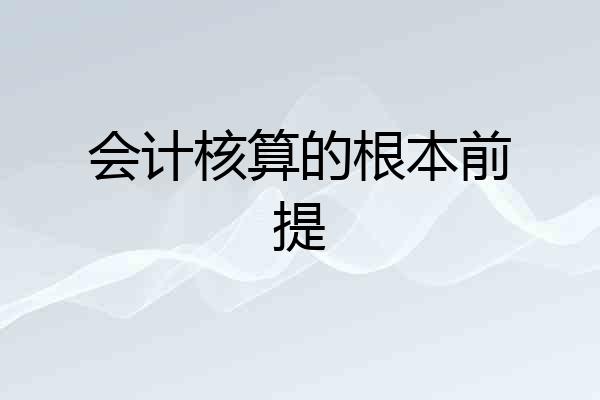 会计核算的根本前提