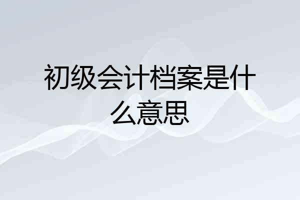 初级会计档案是什么意思