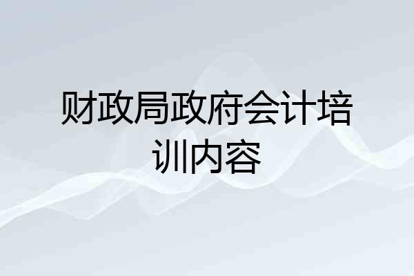 财政局政府会计培训内容