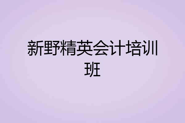 新野精英会计培训班