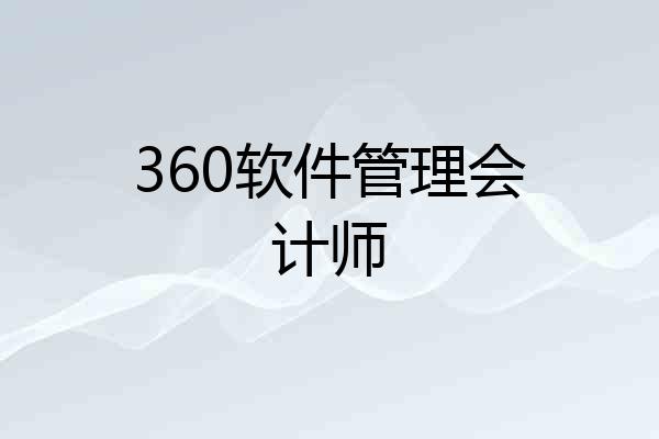 360软件管理会计师