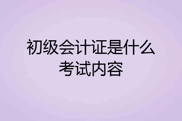 初级会计证是什么考试内容