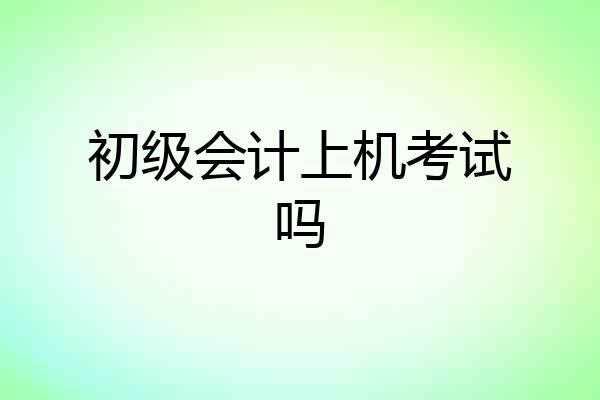 初级会计上机考试吗