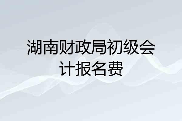 湖南财政局初级会计报名费