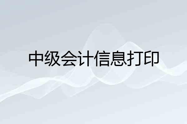 中级会计信息打印