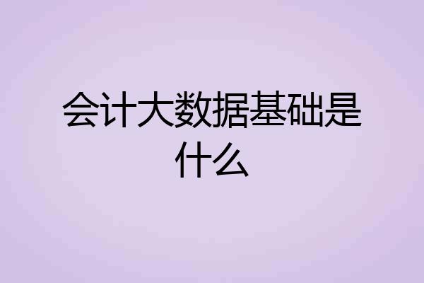 会计大数据基础是什么
