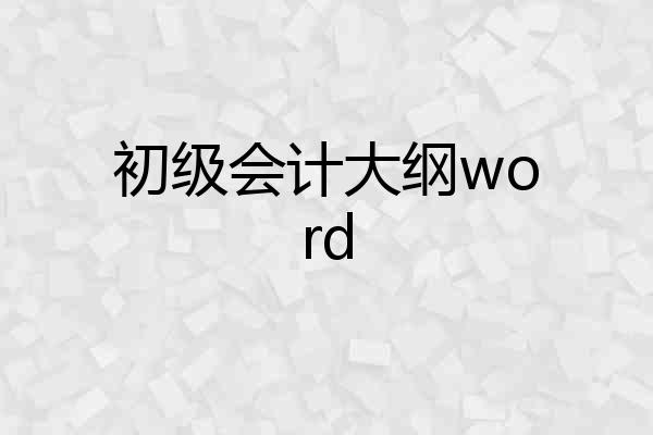初级会计大纲word