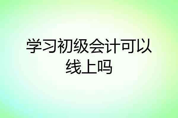 学习初级会计可以线上吗