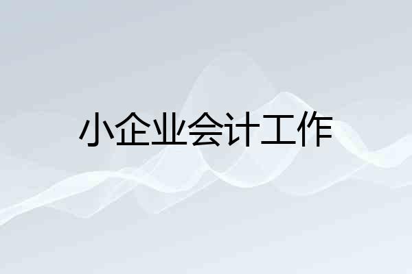 小企业会计工作