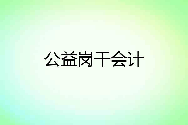 公益岗干会计