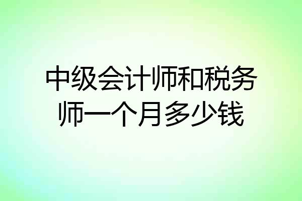 中级会计师和税务师一个月多少钱