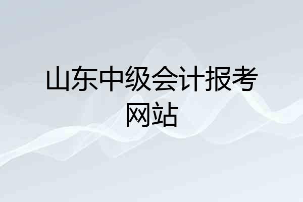 山东中级会计报考网站
