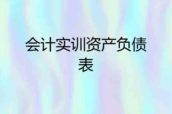 会计实训资产负债表