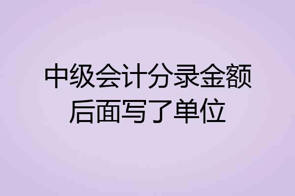 中级会计分录金额后面写了单位