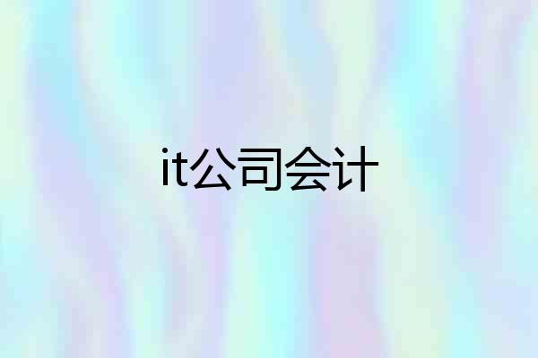 it公司会计